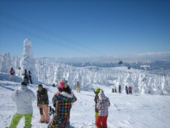 Yamagata Zao Onsen Ski Resort景点图片