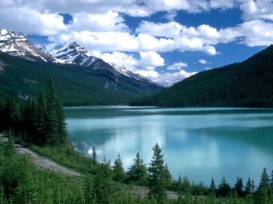 Lake Louise Sightseeing Gondola-路易斯湖必去景点