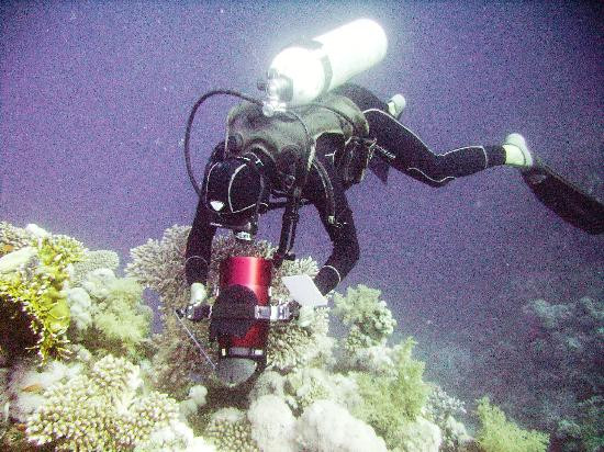 Sinai Dive Club-沙姆沙伊赫必去景点