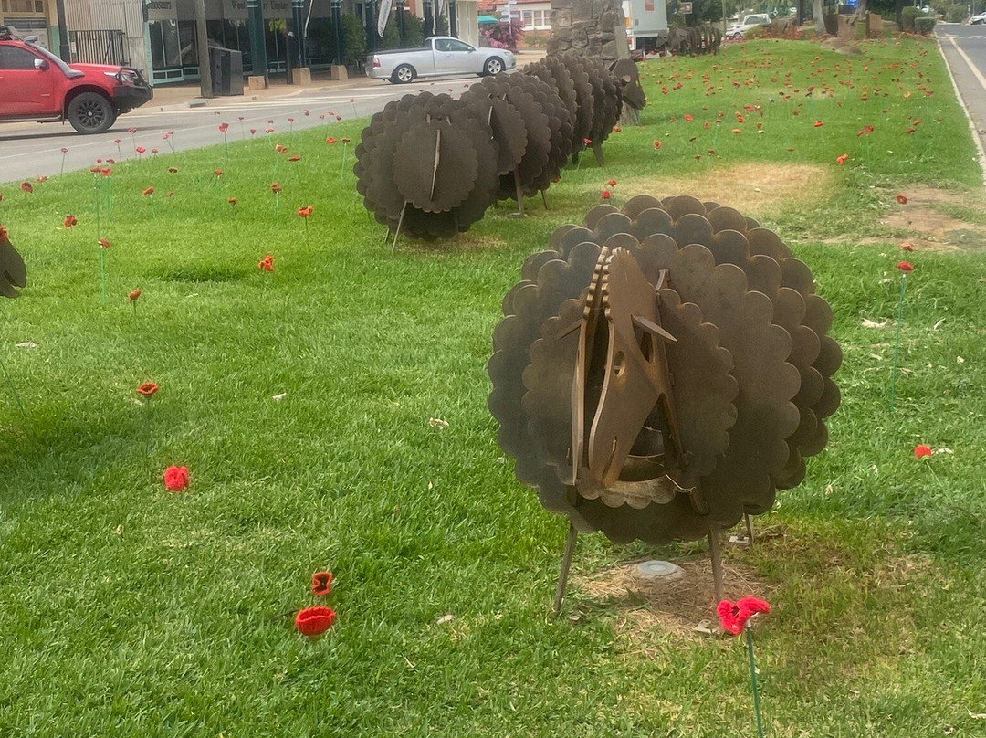 Winton Outback Motel主图