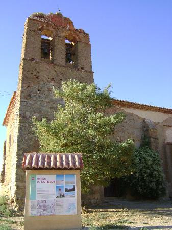 Reserva Natural de las Lagunas de Villafafila景点图片