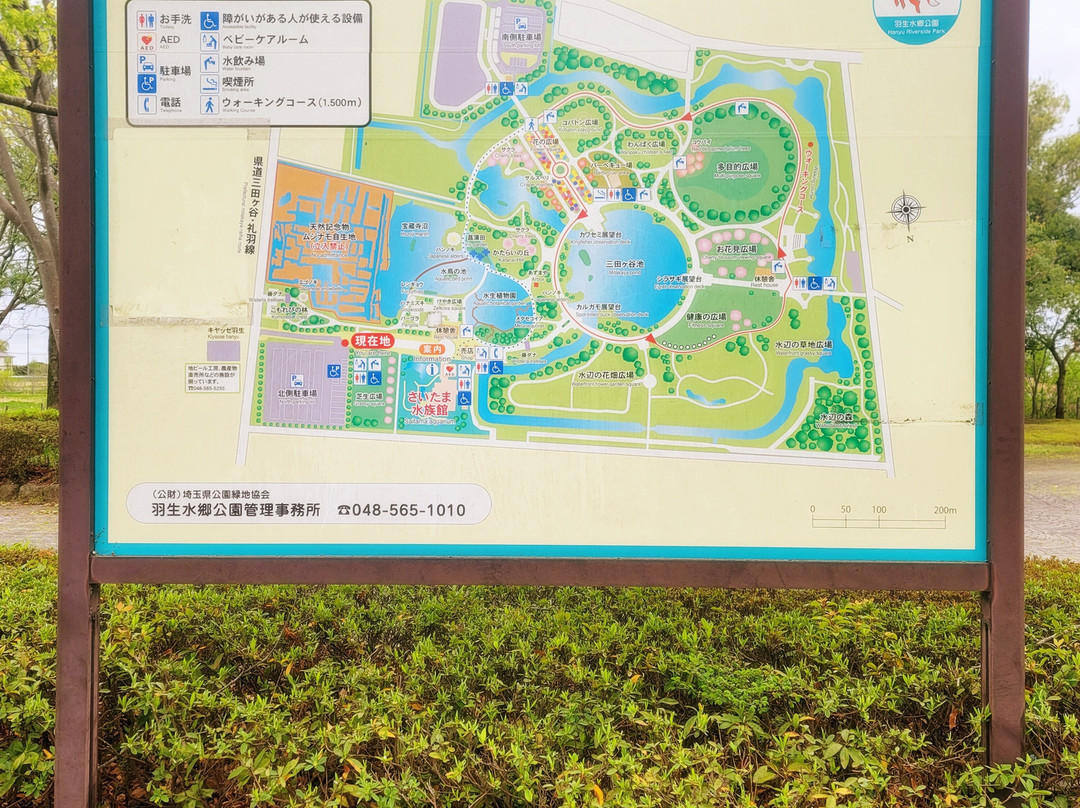 Hanyu Suigo Park-羽生市必去景点