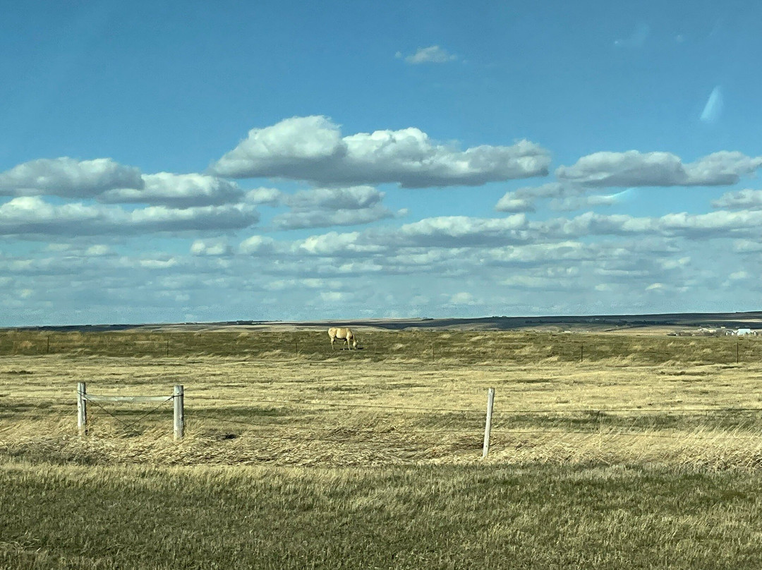 Sitting Bull Memorial景点图片