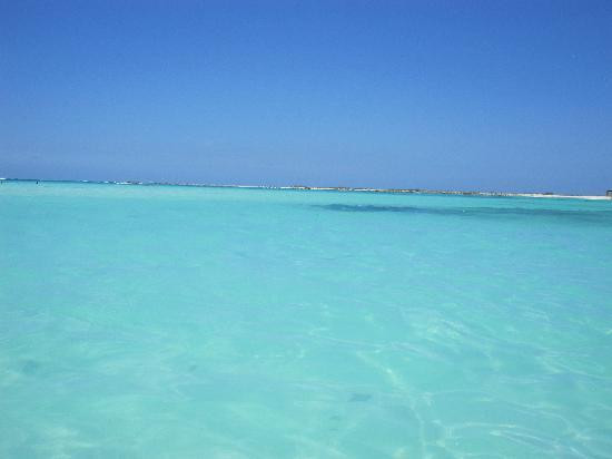 婴儿海滩-San Nicolas必去景点