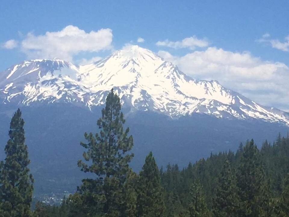 Shasta-Trinity National Forest景点图片