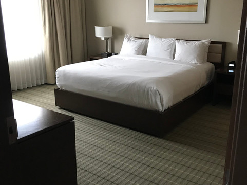 Hotel Casino New Brunswick主图