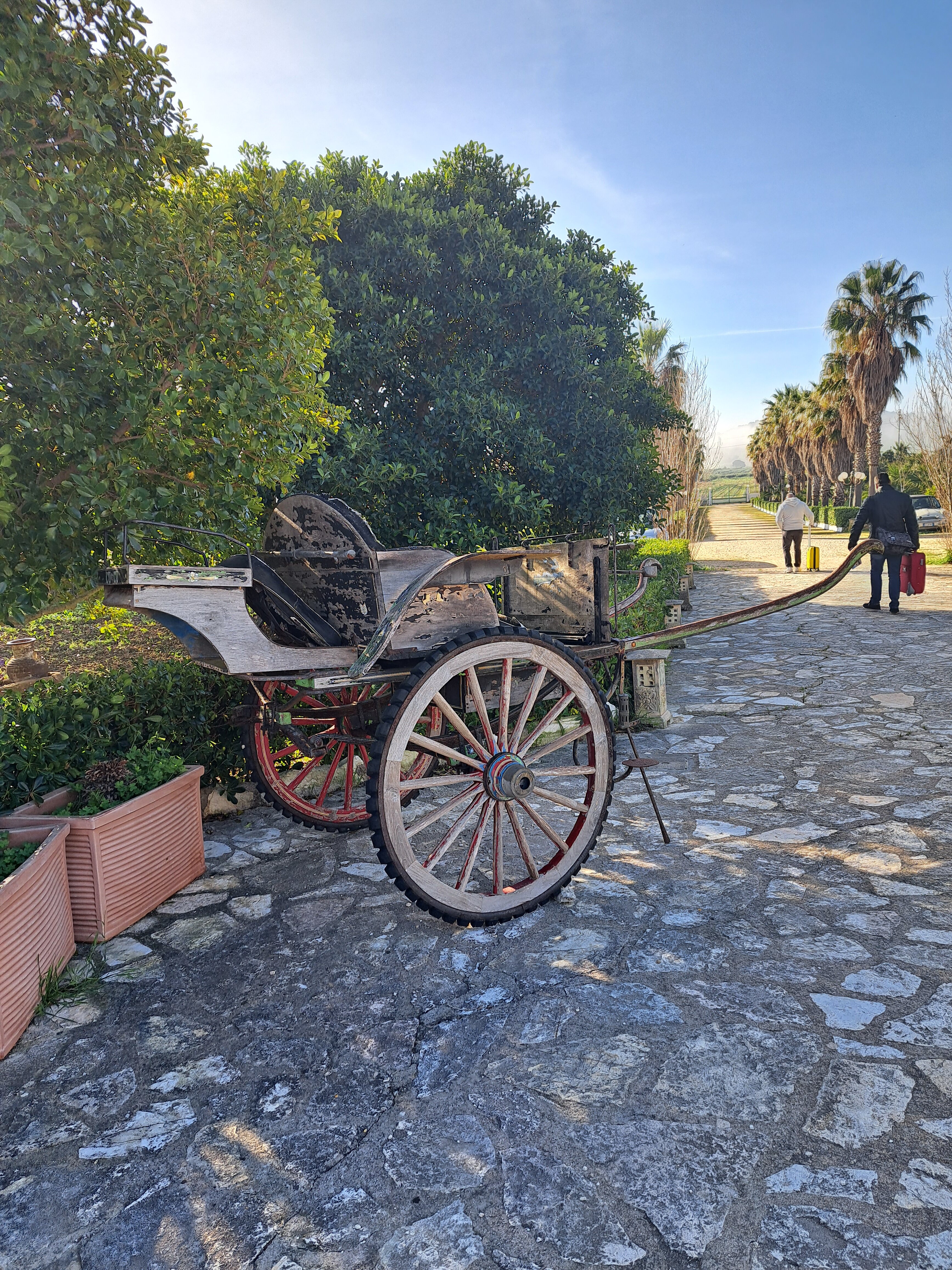 Villa delle Palme Delfina-酒店景观