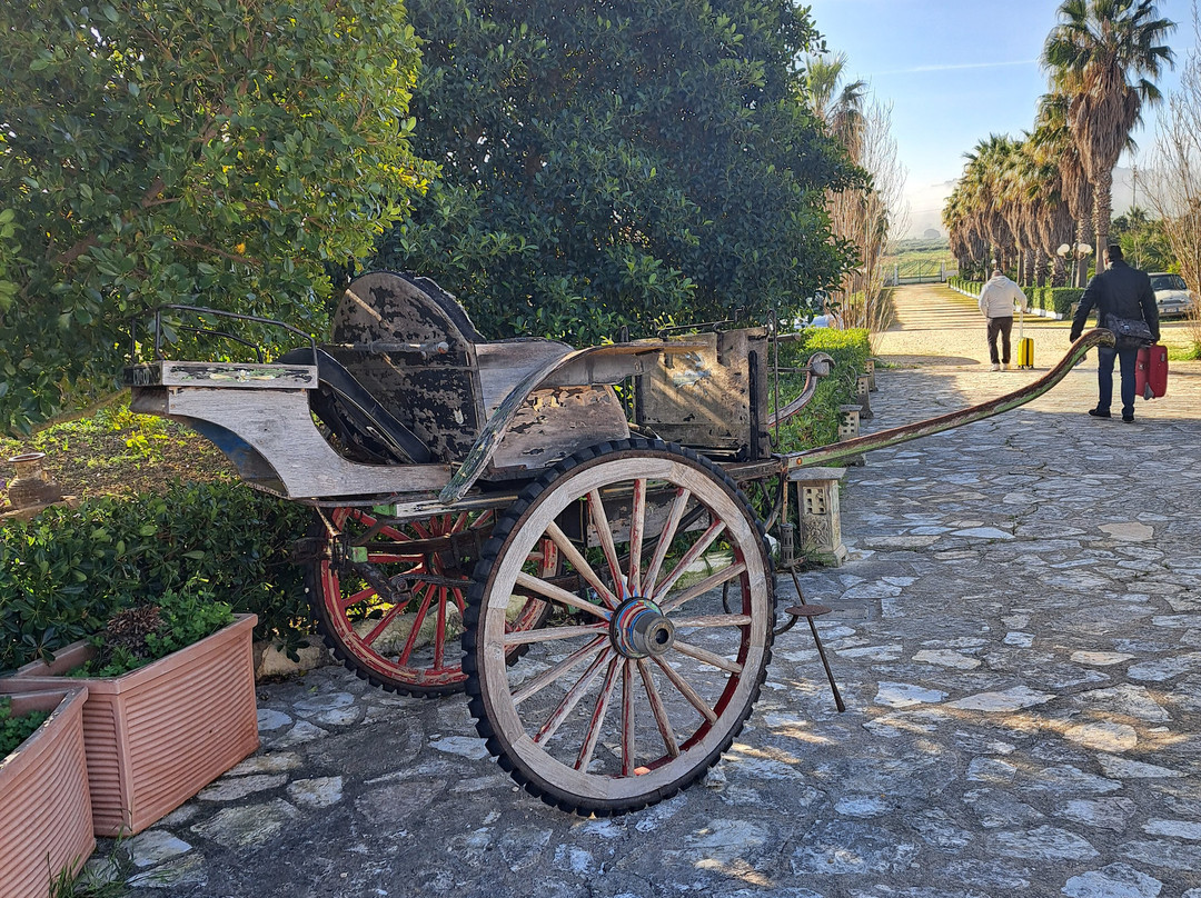 Villa delle Palme Delfina主图