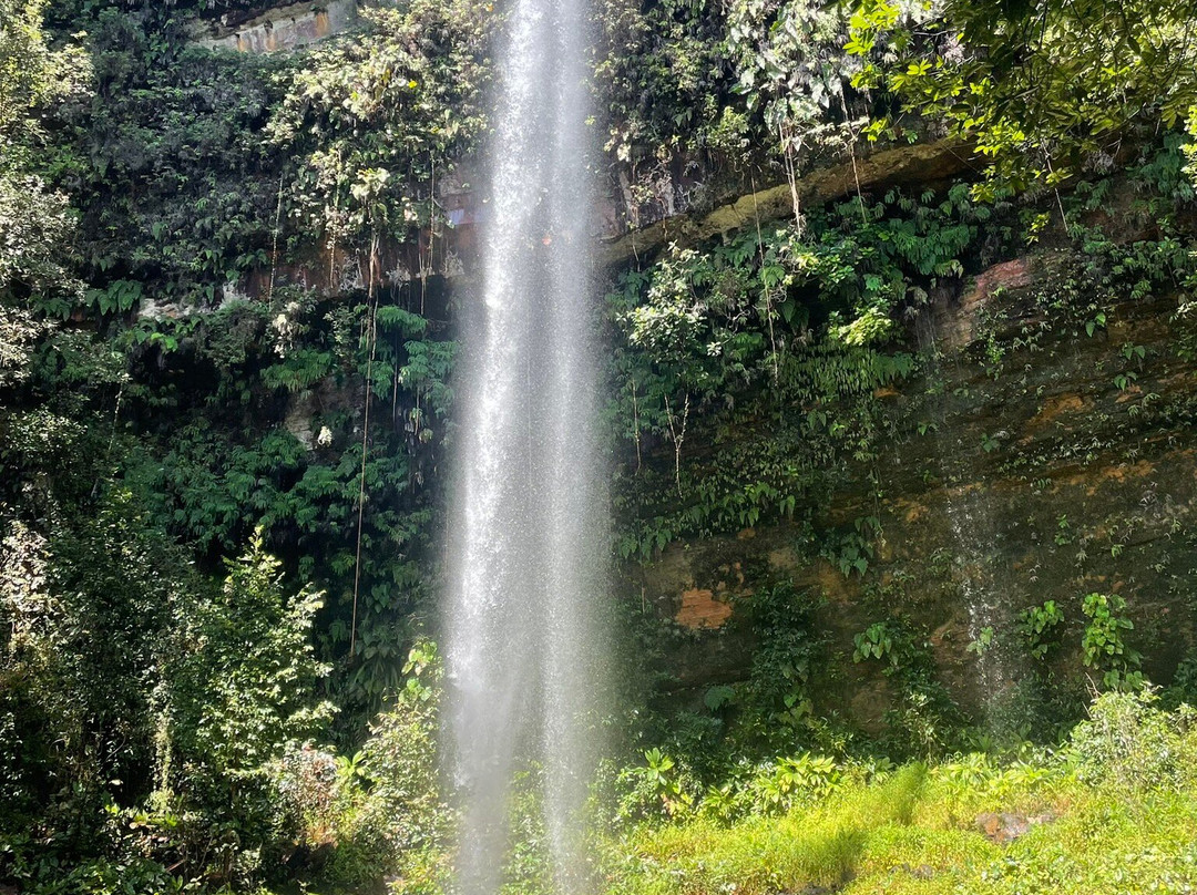 Cachoeira do Urubu Rei-Almas必去景点
