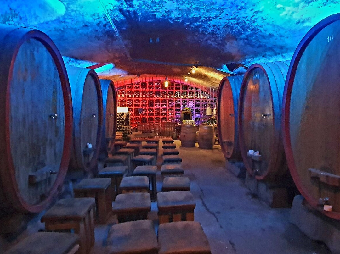 Weingut Fitz-Ritter & Sektkellerei Fitz-巴特迪克海姆必去景点