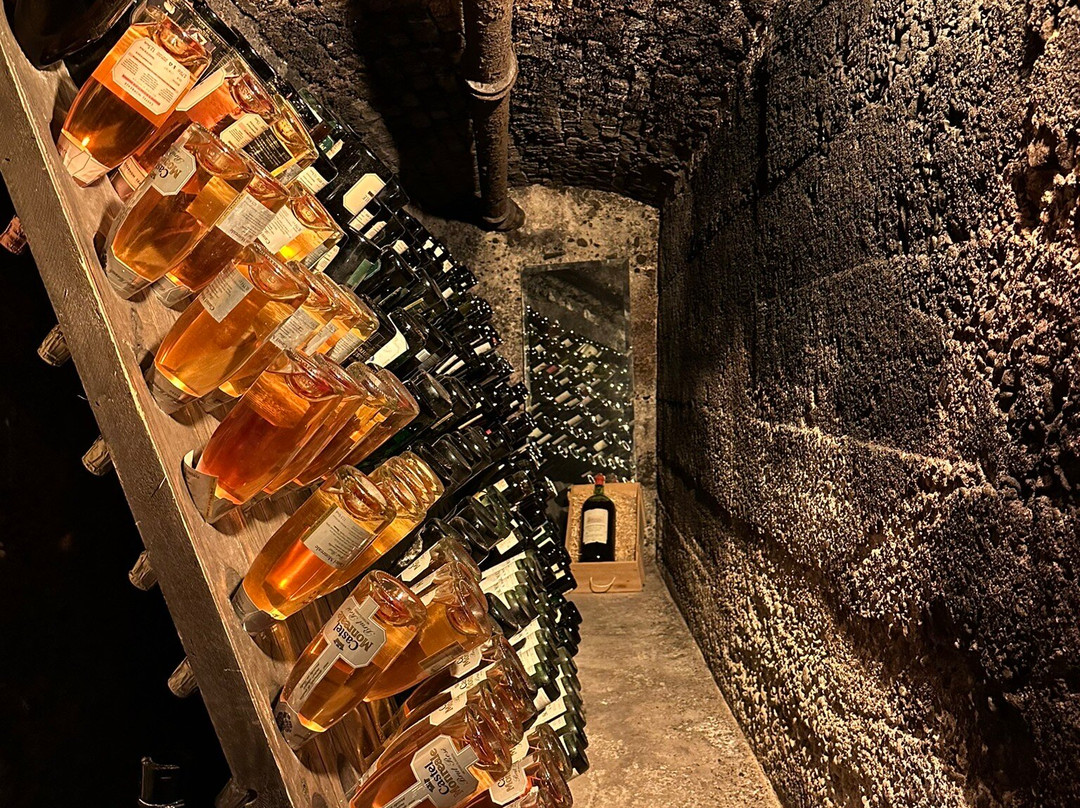 Castello Rametz - Wine Museum景点图片