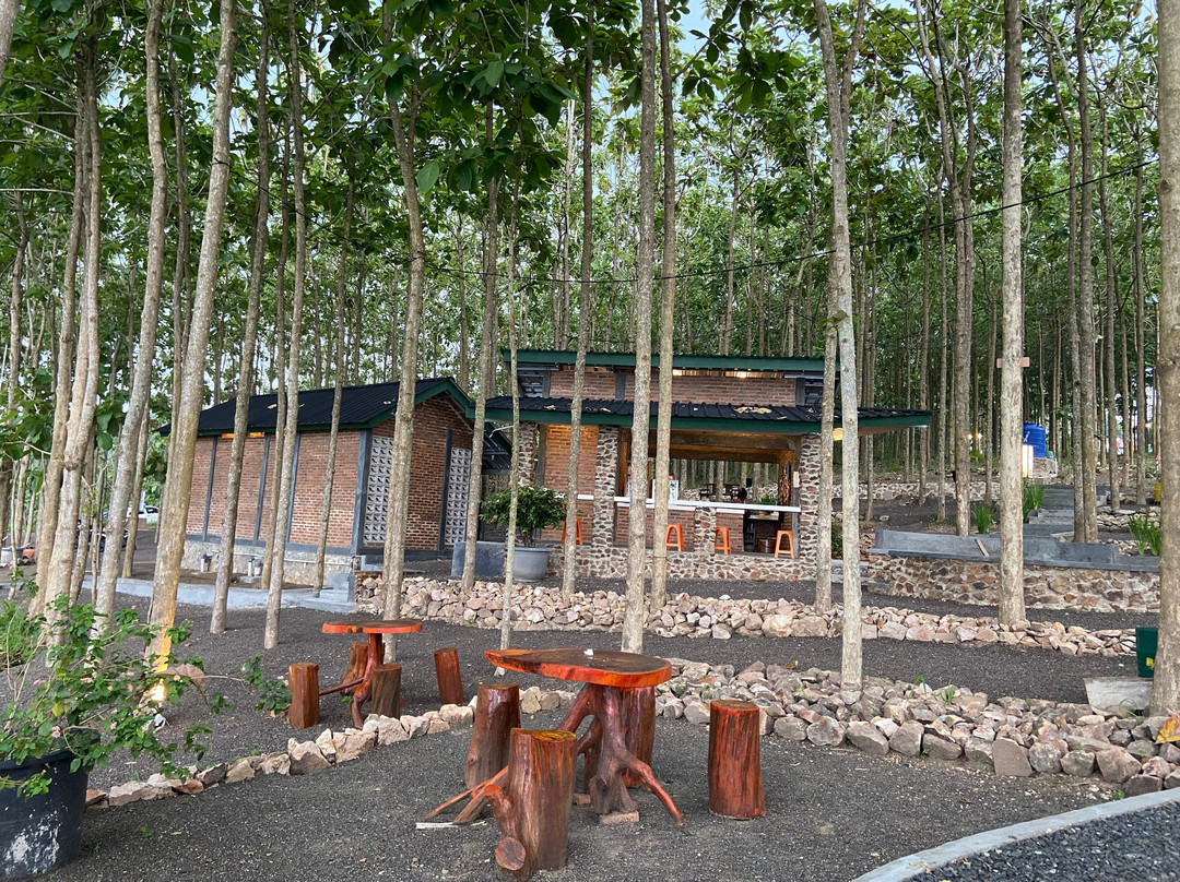 Bukit Aslan - Wisata Alam-班达楠榜必去景点