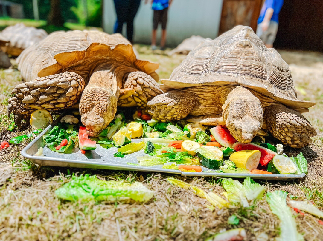 Noah's Lost Ark, Inc.-Berlin Center必去景点