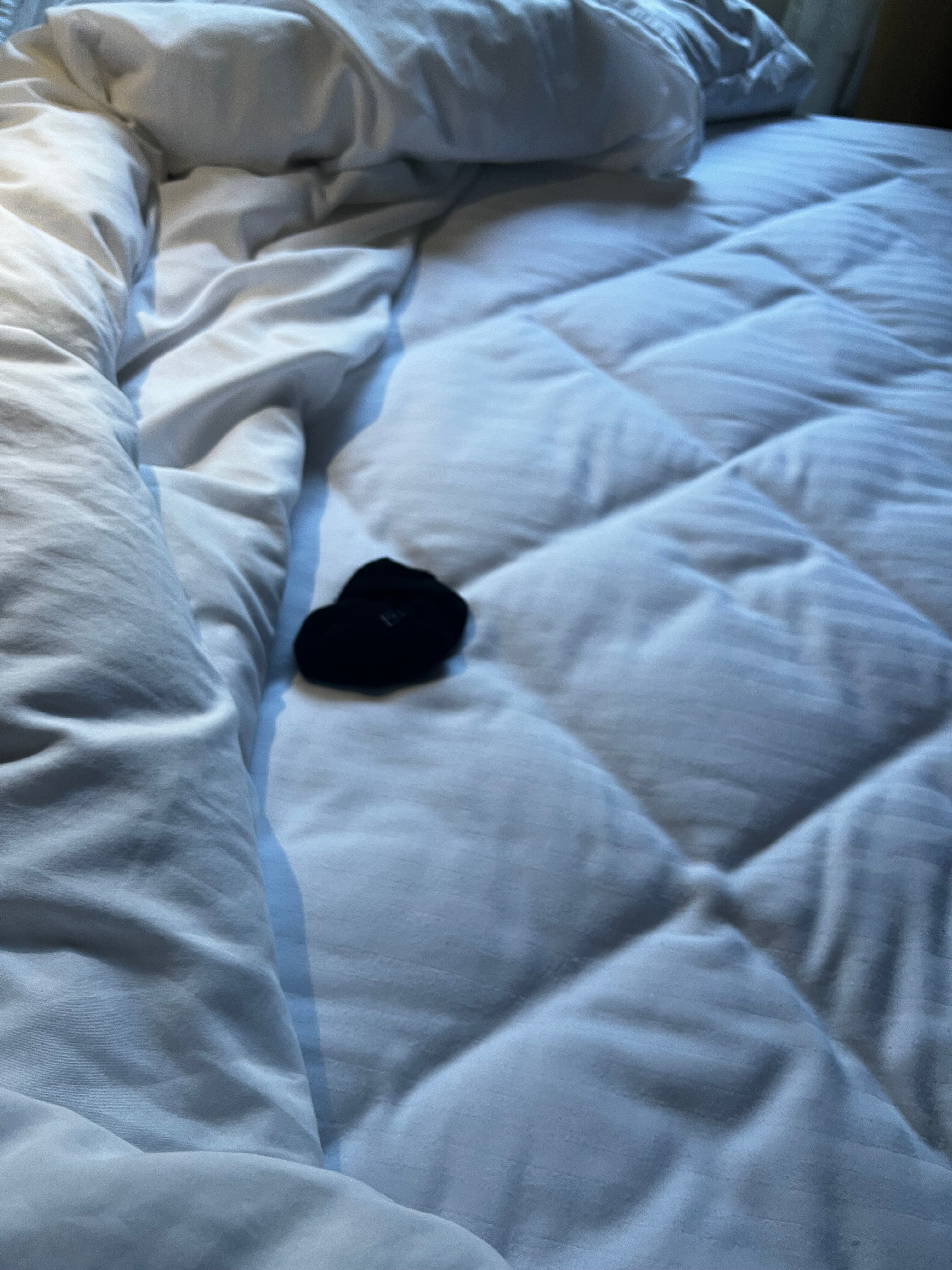 Best Western Plus Truckee-Tahoe Hotel-客卧