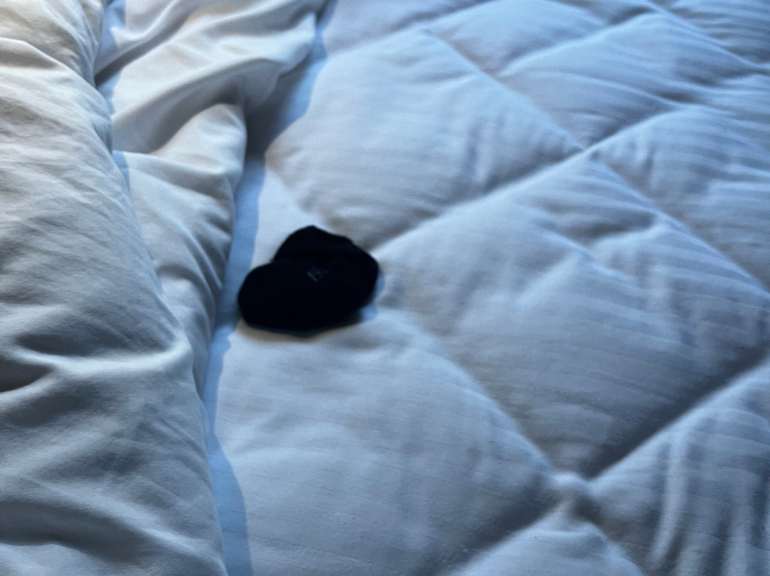 Best Western Plus Truckee-Tahoe Hotel主图