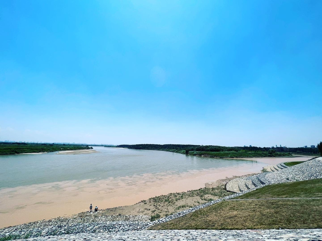 泾渭湿地自然保护区景点图片