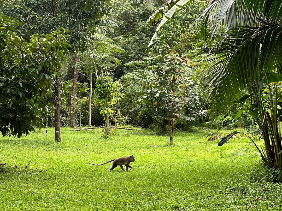 班昂考索渡假村主图