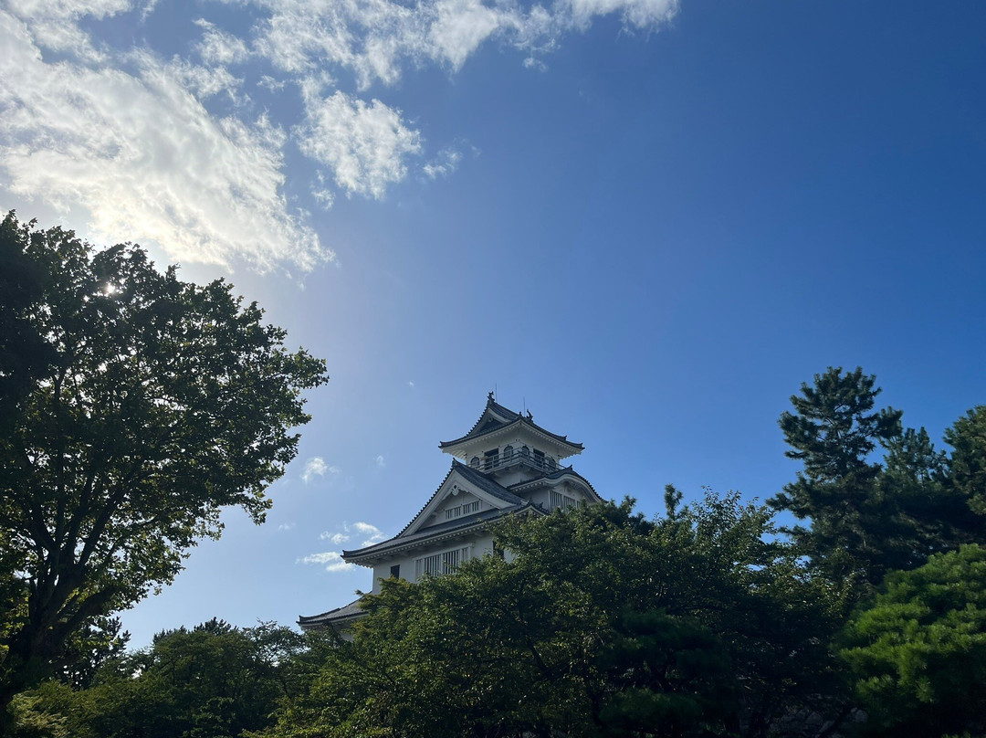 Nagahama Castle Historical Museum景点图片