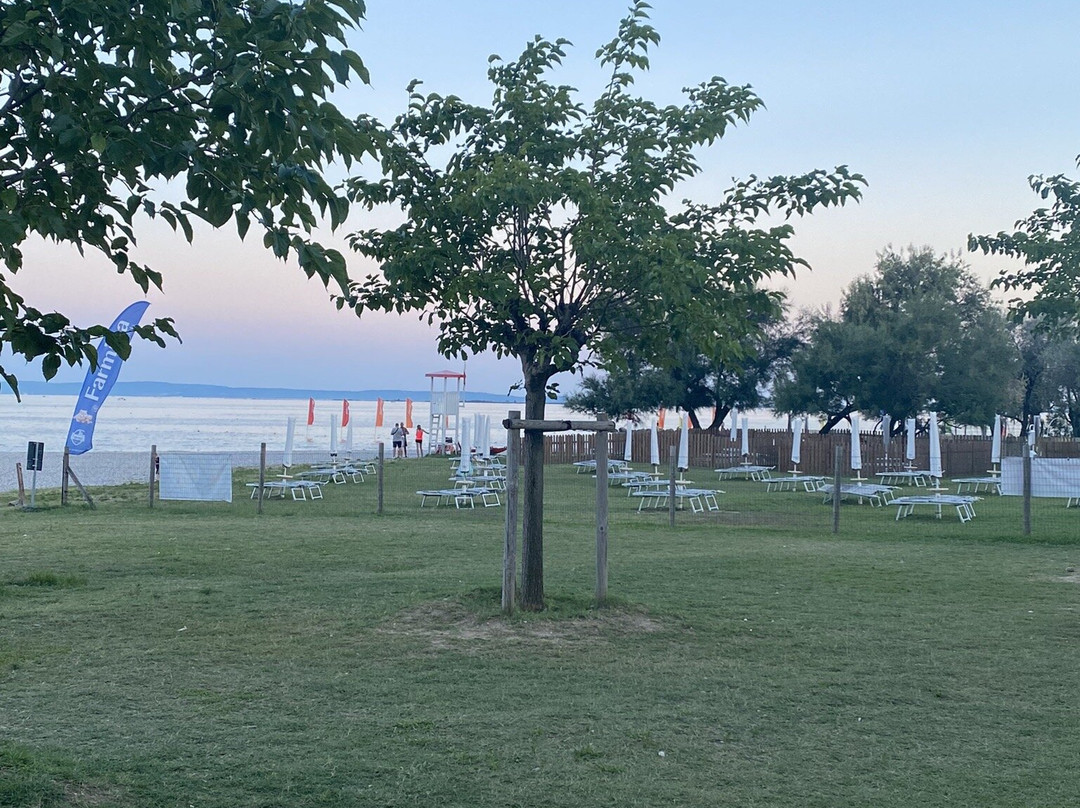 La Spiaggia Di Pippo Marina Julia景点图片