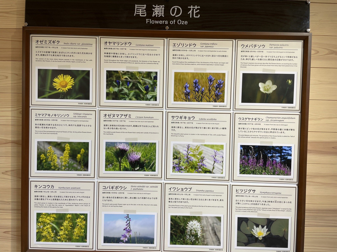 Ozenuma Visitor Center景点图片