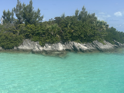 Bermuda Reef Explorer-汉密尔顿必去景点