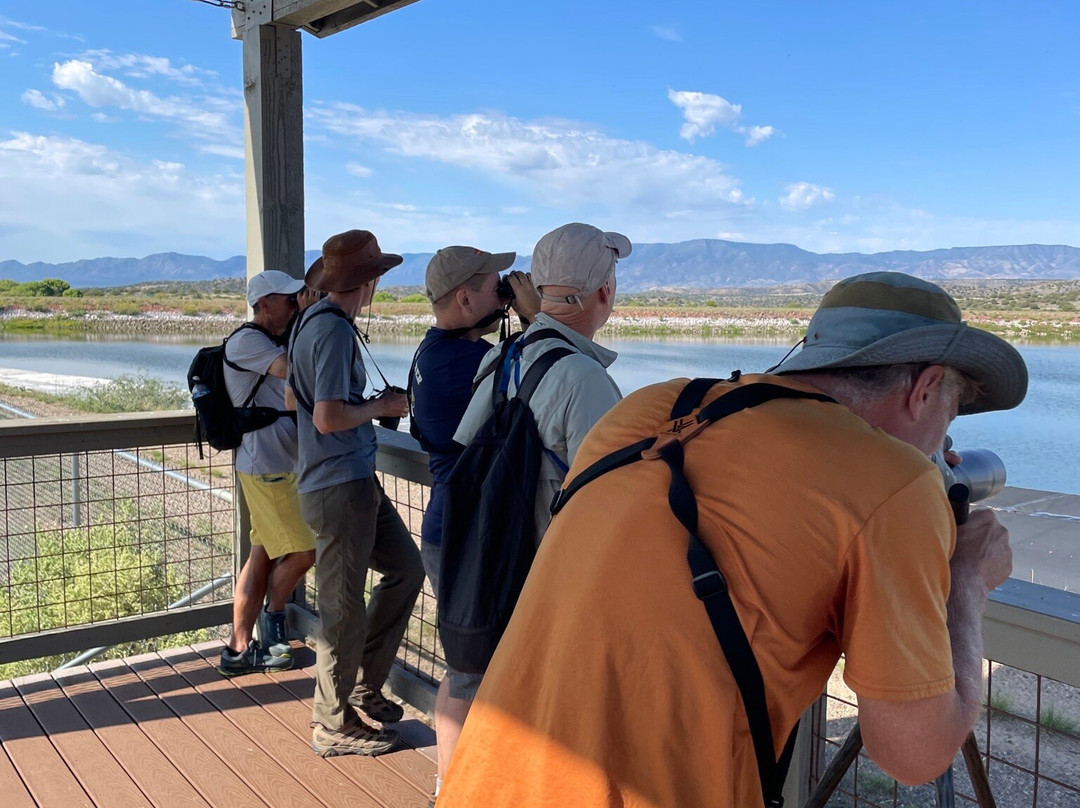 Birding Northern Arizona景点图片