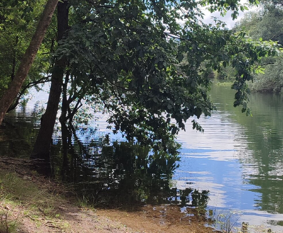 Lac de Villefort-Villefort必去景点