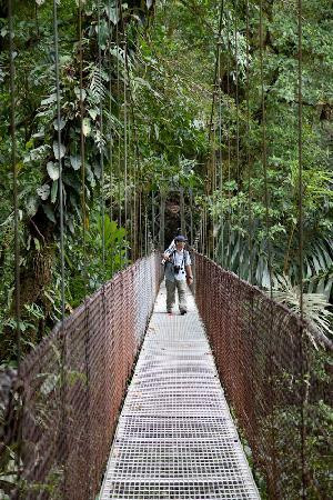 Travel Around Costa Rica Transportation and Guides - San Jose景点图片