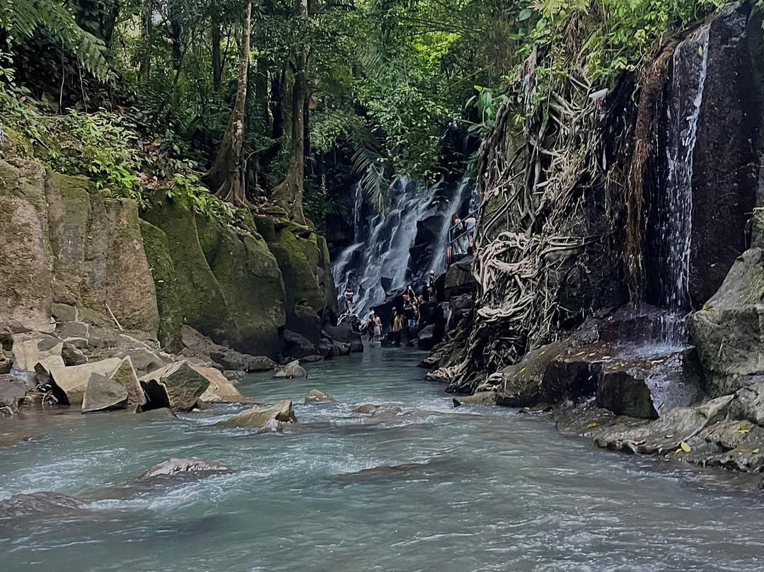 VIC Tour And Transport-乌布必去景点