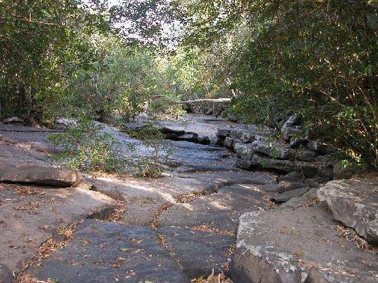 Phu Faek Forest Park-加拉信必去景点