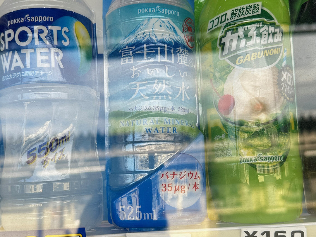 Aichi Loop Railway-冈崎市必去景点