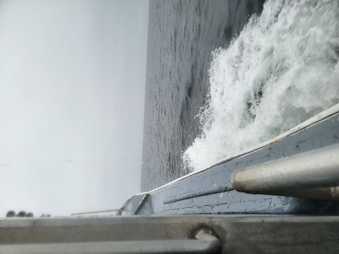 Cabot Trail Guaranteed Whales Adventures景点图片