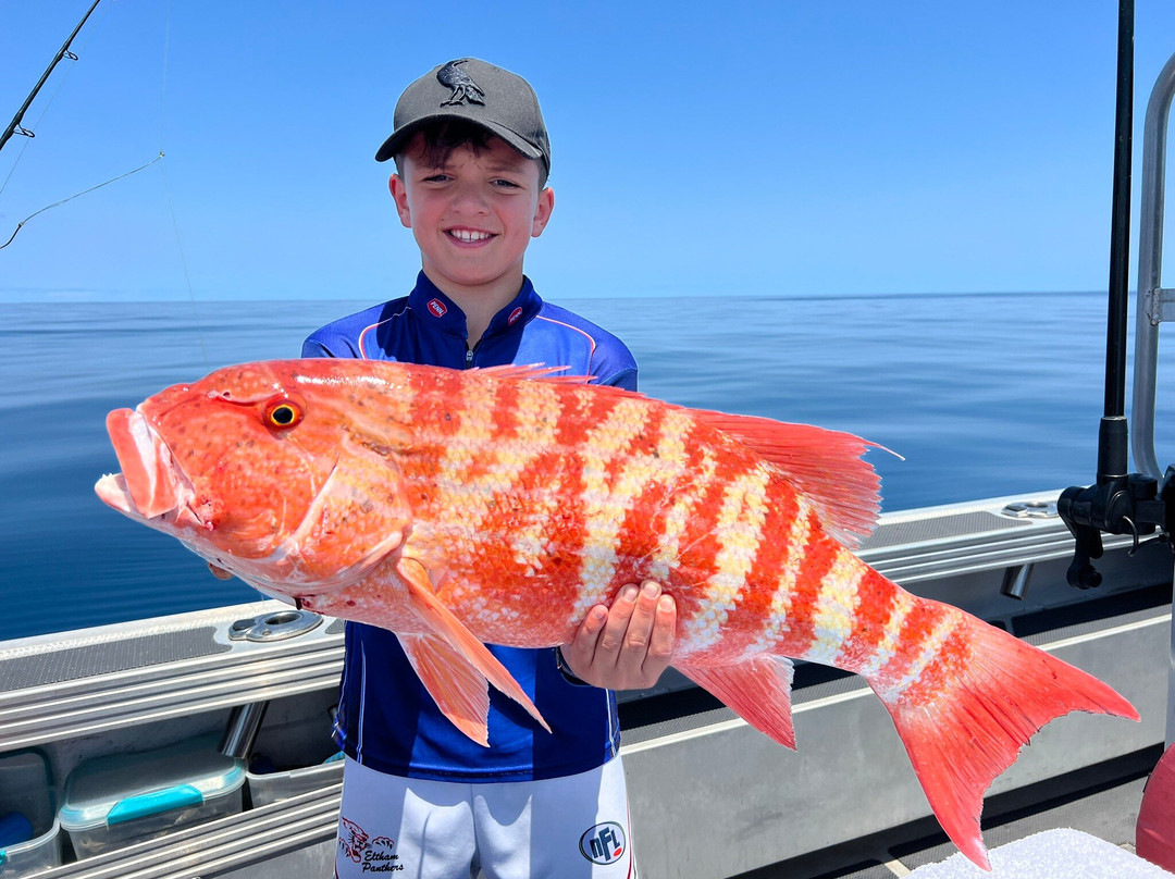 Wild Hinchinbrook Adventures-Lucinda必去景点