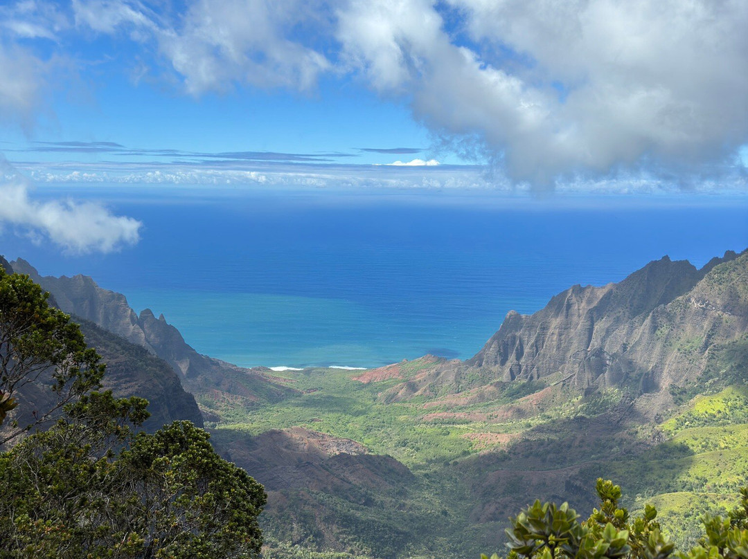 Pihea Trail-科卡哈必去景点