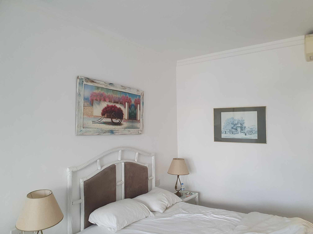 The Olive Tree Hotel主图