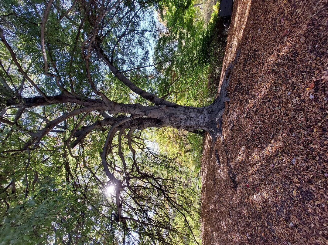 Central Park & Environs Walking Tours-纽约市必去景点