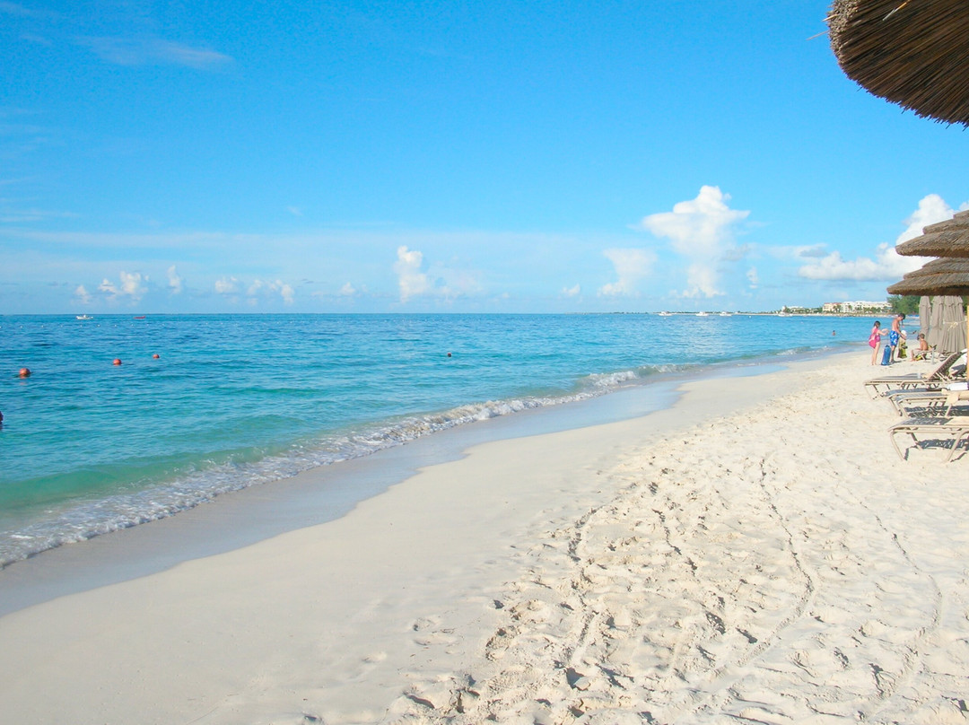 The Bight Settlement酒店住宿-Coral Gardens on Grace Bay