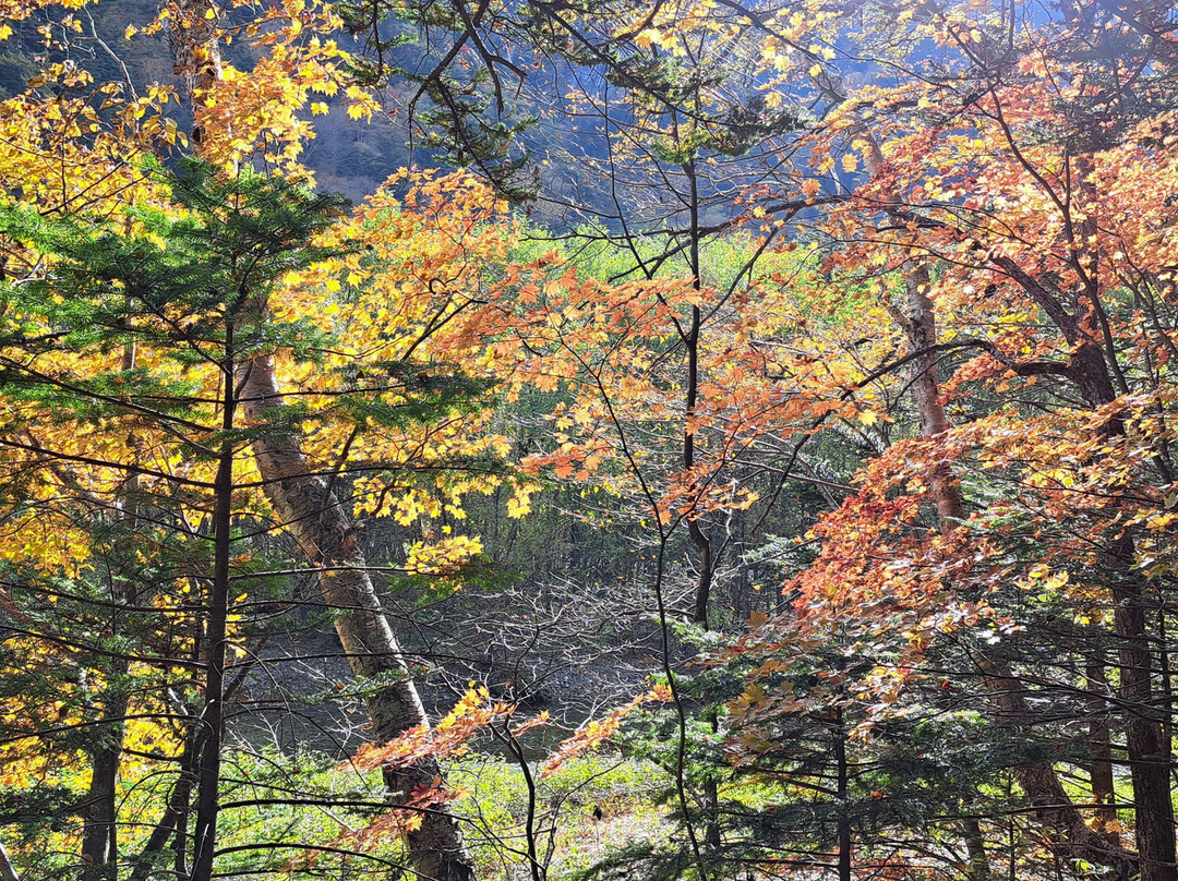 Myojin Pond-松本市必去景点