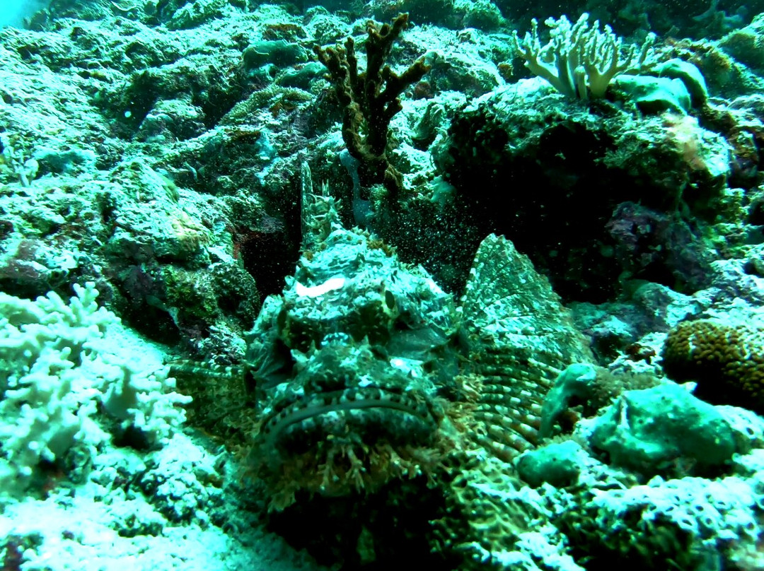 Endheri Dive Center景点图片