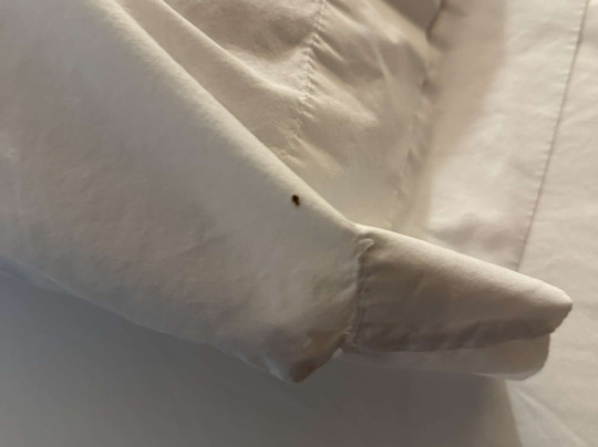 North Platte Inn & Suites主图