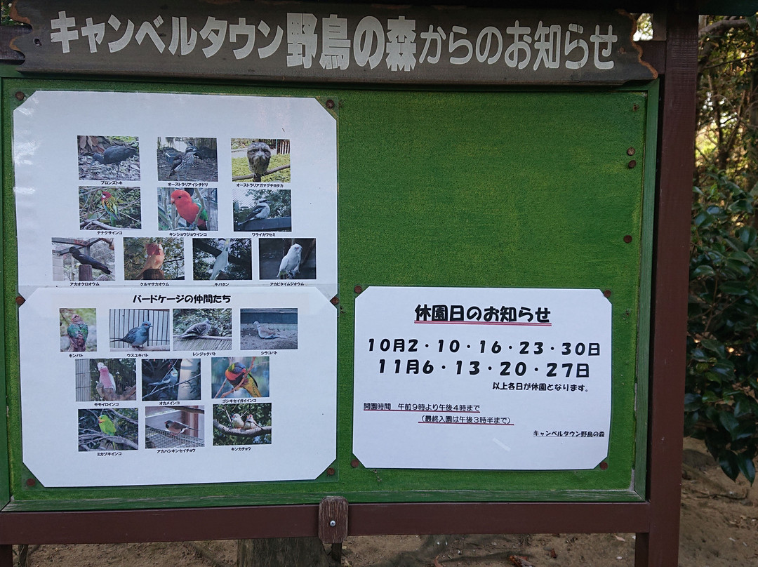 Campbelltown Forest of Wild Birds-越谷市必去景点