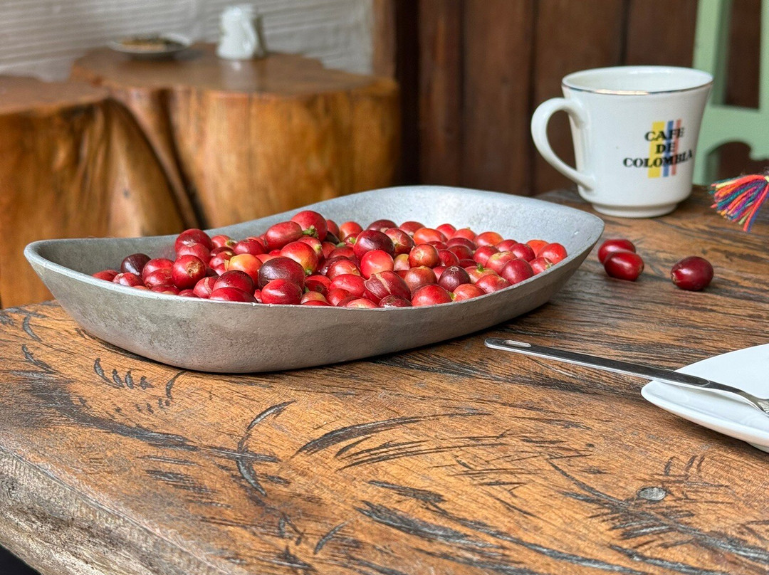 La Casa Grande Coffee Hacienda景点图片