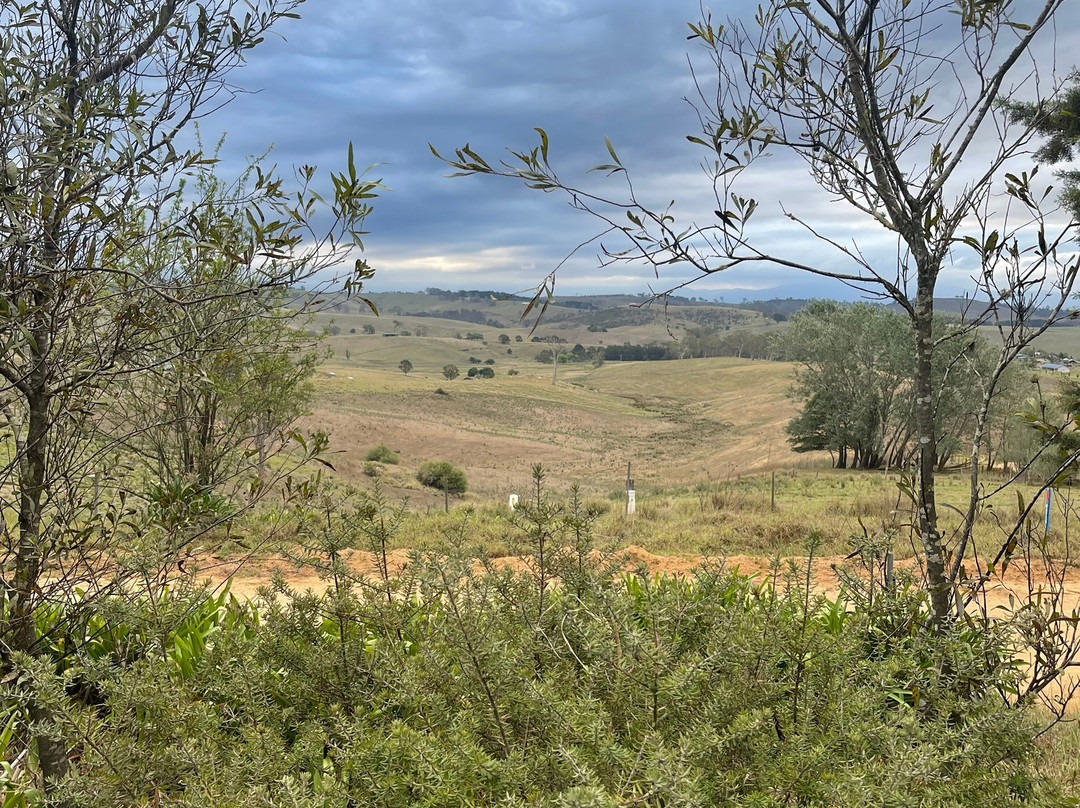 The Old School Bed and Breakfast主图