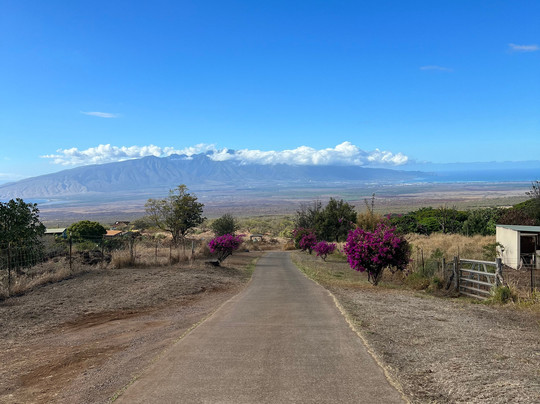 Maui Chocolate & Coffee Tours-库拉必去景点