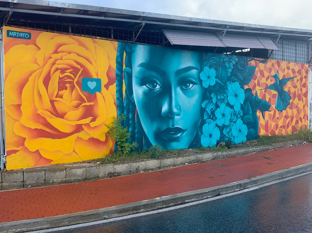Aruba Mural Tours-San Nicolas必去景点