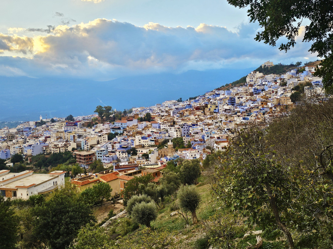 Morocco Customized Tours-Ifrane必去景点