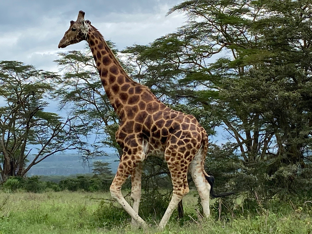 Chula Coast Life-瓦塔木必去景点