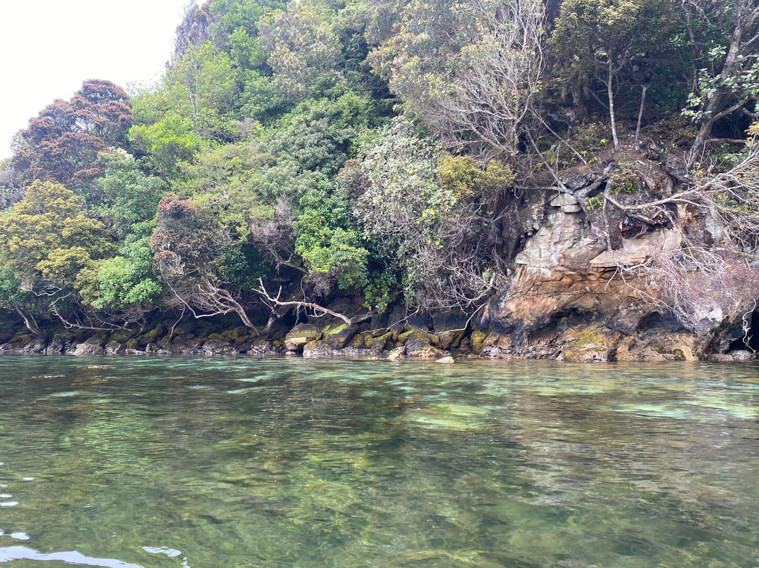 Phil's Sea Kayak景点图片