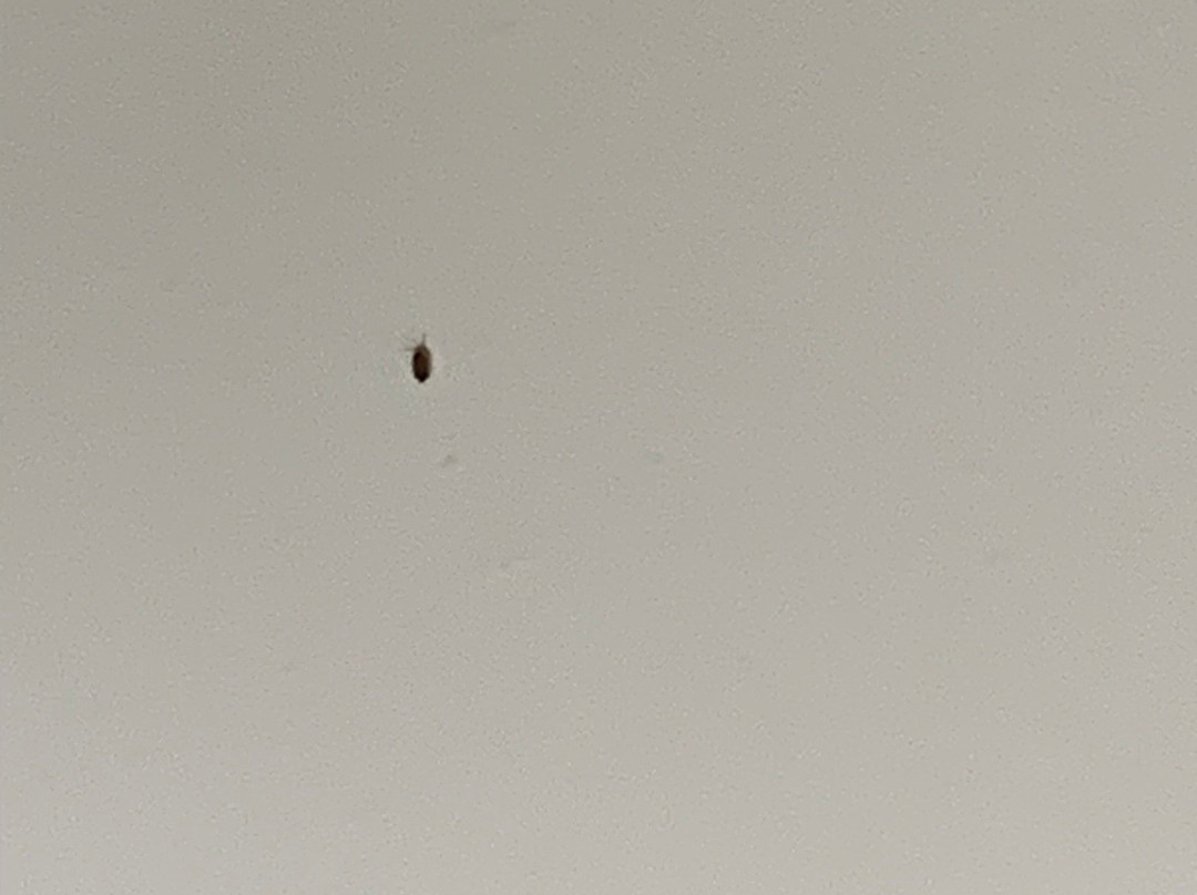 Hampton Inn Ottumwa主图