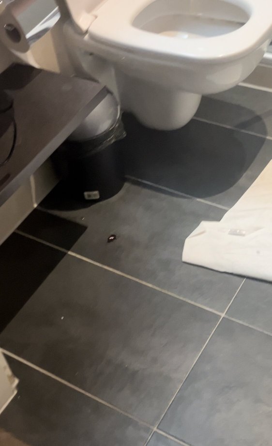 Garner Hotel Wiesbaden City by IHG-浴室